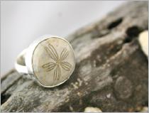 sanddollar