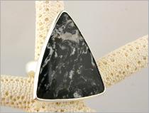 zebragranite