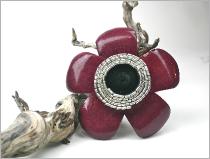 daisypinksilverblack