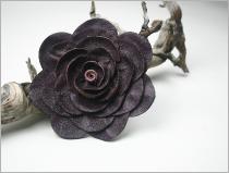 Realpurpledaisy