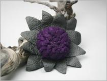 Realpurplepoppy