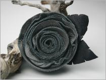Realsilverflatrose
