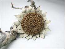 Realsunflowerlarge
